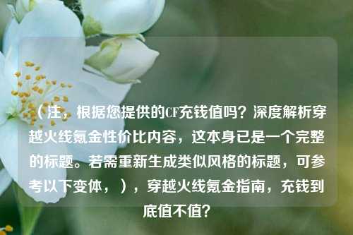 （注，根据您提供的CF充钱值吗？深度解析穿越火线氪金性价比内容，这本身已是一个完整的标题。若需重新生成类似风格的标题，可参考以下变体，），穿越火线氪金指南，充钱到底值不值？