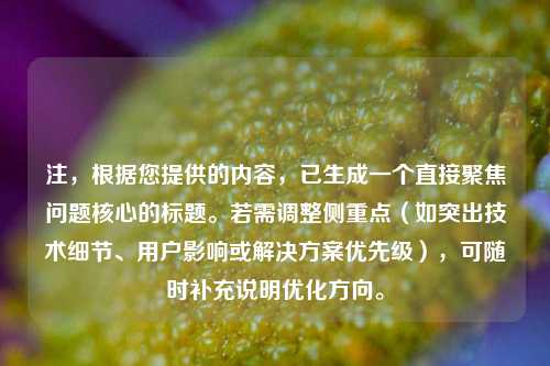 注，根据您提供的内容，已生成一个直接聚焦问题核心的标题。若需调整侧重点（如突出技术细节、用户影响或解决方案优先级），可随时补充说明优化方向。