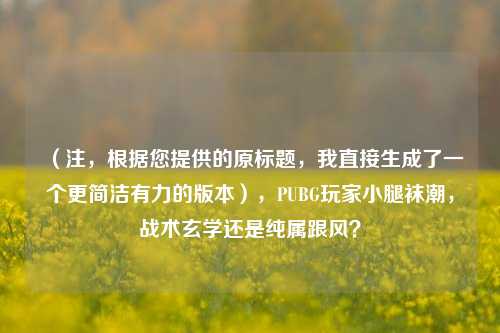 （注，根据您提供的原标题，我直接生成了一个更简洁有力的版本），PUBG玩家小腿袜潮，战术玄学还是纯属跟风？