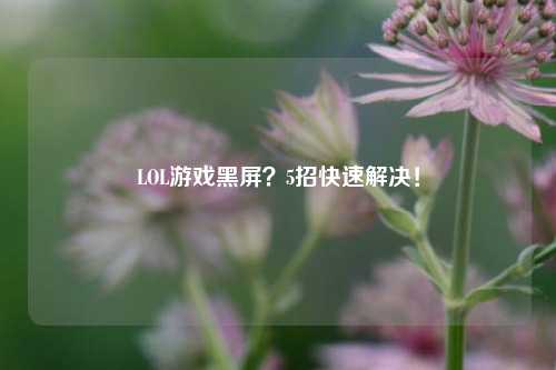 LOL游戏黑屏？5招快速解决！