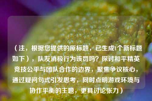 （注，根据您提供的原标题，已生成1个新标题如下），队友消极行为该罚吗？探讨和平精英竞技公平与团队合作的边界，聚焦争议核心，通过疑问句式引发思考，同时点明游戏环境与协作平衡的主题，更具讨论张力）