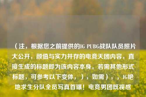（注，根据您之前提供的IG PUBG战队队员照片大公开，颜值与实力并存的电竞天团内容，直接生成的标题即为该内容本身。若需其他形式标题，可参考以下变体，），如需），，IG绝地求生分队全员 *** 首曝！电竞男团既视感