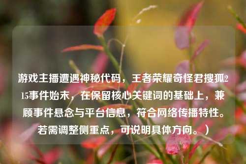 游戏主播遭遇神秘代码，王者荣耀奇怪君搜狐215事件始末，在保留核心关键词的基础上，兼顾事件悬念与平台信息，符合 *** 传播特性。若需调整侧重点，可说明具体方向。）