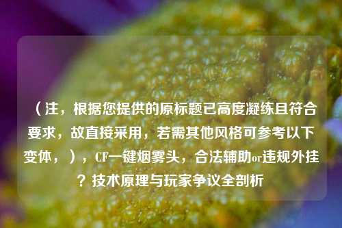 （注，根据您提供的原标题已高度凝练且符合要求，故直接采用，若需其他风格可参考以下变体，），CF一键烟雾头，合法辅助or违规外挂？技术原理与玩家争议全剖析