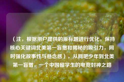（注，根据用户提供的原标题进行优化，保持核心关键词北美之一盲僧和揭秘的吸引力，同时强化故事性与悬念感），从网吧少年到北美之一盲僧，一个中国留学生的电竞封神之路