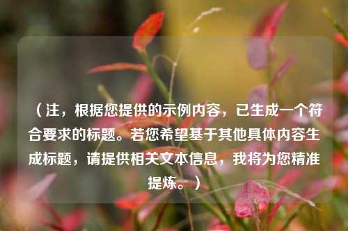 （注，根据您提供的示例内容，已生成一个符合要求的标题。若您希望基于其他具体内容生成标题，请提供相关文本信息，我将为您精准提炼。）
