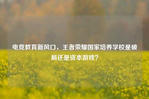电竞教育新风口，王者荣耀国家培养学校是破局还是资本游戏？