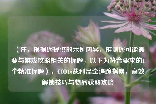 （注，根据您提供的示例内容，推测您可能需要与游戏攻略相关的标题，以下为符合要求的1个精准标题），COD16战利品全追踪指南，高效解锁技巧与物品获取攻略