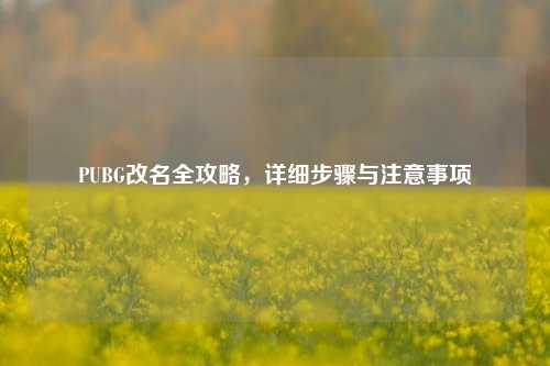 PUBG改名全攻略，详细步骤与注意事项