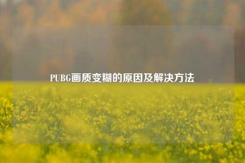 PUBG画质变糊的原因及解决 *** 