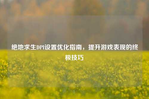 绝地求生DPI设置优化指南，提升游戏表现的终极技巧