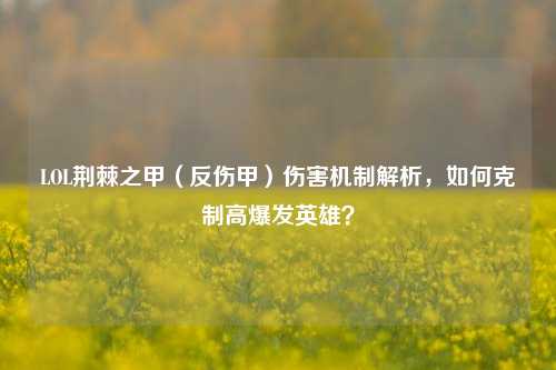 LOL荆棘之甲（反伤甲）伤害机制解析，如何克制高爆发英雄？