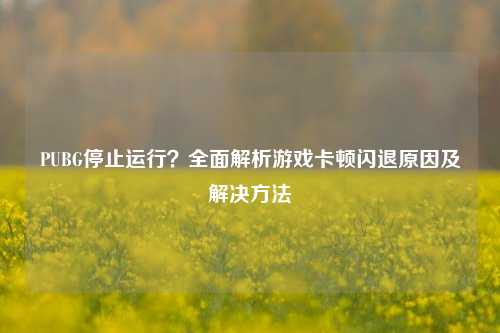 PUBG停止运行？全面解析游戏卡顿闪退原因及解决 *** 