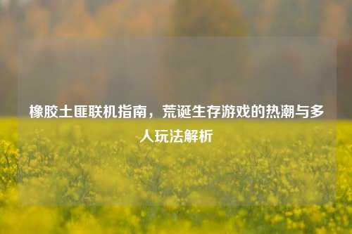 橡胶土匪联机指南，荒诞生存游戏的热潮与多人玩法解析