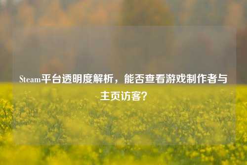 Steam平台透明度解析，能否查看游戏 *** 者与主页访客？