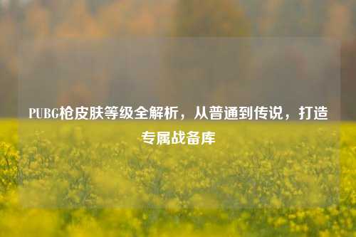 PUBG枪皮肤等级全解析，从普通到传说，打造专属战备库