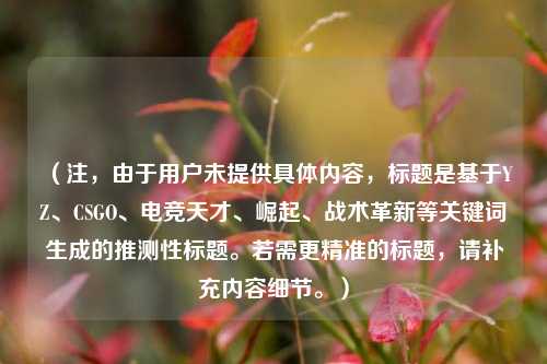 （注，由于用户未提供具体内容，标题是基于YZ、CSGO、电竞天才、崛起、战术革新等关键词生成的推测性标题。若需更精准的标题，请补充内容细节。）