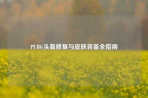 PUBG头盔修复与皮肤装备全指南