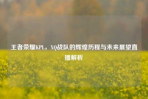 王者荣耀KPL，XQ战队的辉煌历程与未来展望直播解析