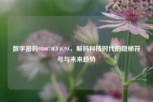 数字密码980074CF4C9A，解码科技时代的隐秘符号与未来趋势