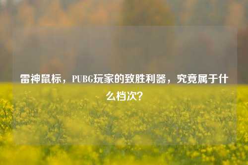 雷神鼠标，PUBG玩家的致胜利器，究竟属于什么档次？