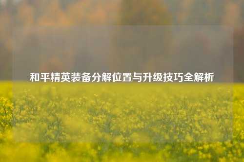 和平精英装备分解位置与升级技巧全解析