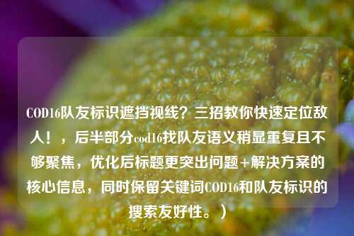 COD16队友标识遮挡视线？三招教你快速定位敌人！，后半部分cod16找队友语义稍显重复且不够聚焦，优化后标题更突出问题+解决方案的核心信息，同时保留关键词COD16和队友标识的搜索友好性。）