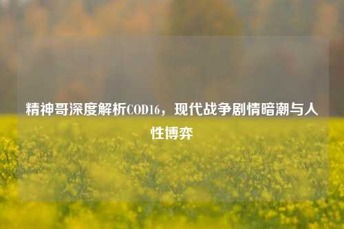 精神哥深度解析COD16，现代战争剧情暗潮与人性博弈