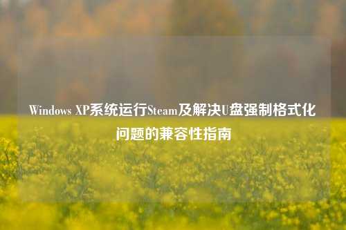 Windows XP系统运行Steam及解决U盘强制格式化问题的兼容性指南