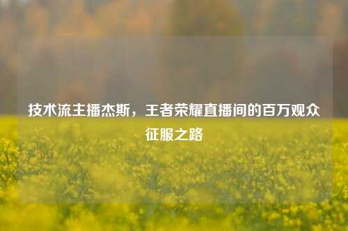 技术流主播杰斯，王者荣耀直播间的百万观众征服之路