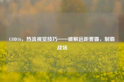 COD16，热流视觉技巧——破解远距雾霾，制霸战场