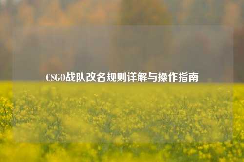 CSGO战队改名规则详解与操作指南