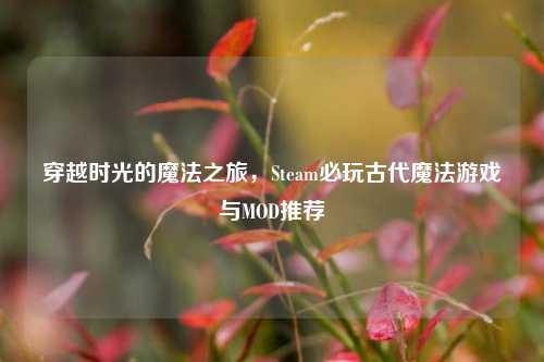 穿越时光的魔法之旅，Steam必玩古代魔法游戏与MOD推荐