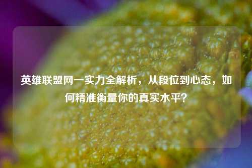 英雄联盟网一实力全解析，从段位到心态，如何精准衡量你的真实水平？