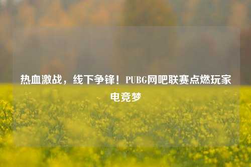 热血激战，线下争锋！PUBG网吧联赛点燃玩家电竞梦