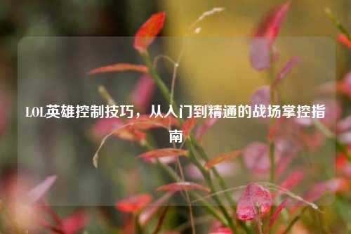 LOL英雄控制技巧，从入门到精通的战场掌控指南