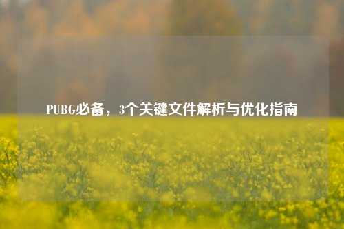 PUBG必备，3个关键文件解析与优化指南