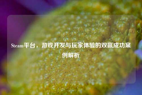 Steam平台，游戏开发与玩家体验的双赢成功案例解析
