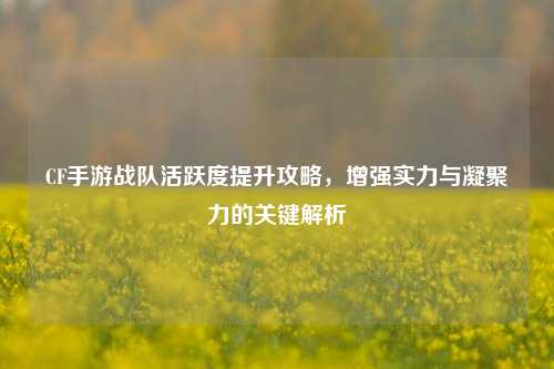 CF手游战队活跃度提升攻略，增强实力与凝聚力的关键解析