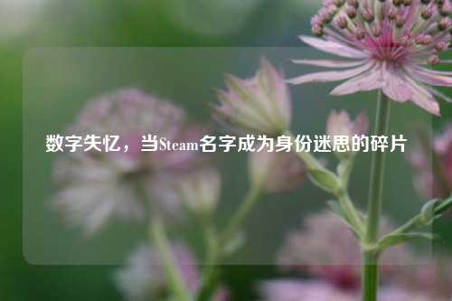 数字失忆，当Steam名字成为身份迷思的碎片