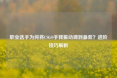 职业选手为何将CSGO手臂振动调到更低？进阶技巧解析