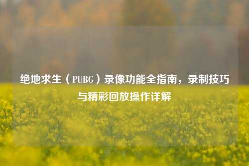 绝地求生（PUBG）录像功能全指南，录制技巧与精彩回放操作详解