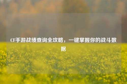 CF手游战绩查询全攻略，一键掌握你的战斗数据