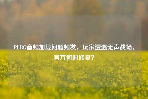 PUBG音频加载问题频发，玩家遭遇无声战场，官方何时修复？