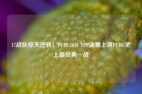 17战队惊天逆转！PCPI 2018 TPP决赛上演PUBG史上最经典一战