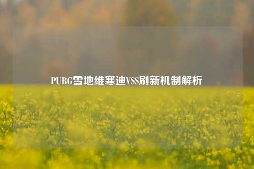 PUBG雪地维寒迪VSS刷新机制解析
