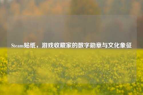 Steam贴纸,游戏收藏家的数字勋章与文化象征