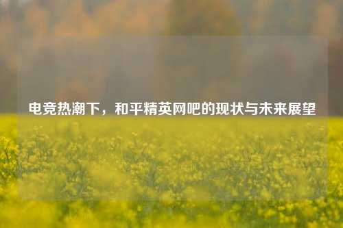 电竞热潮下，和平精英网吧的现状与未来展望