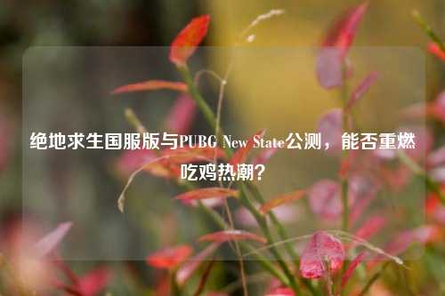 绝地求生国服版与PUBG New State公测，能否重燃吃鸡热潮？