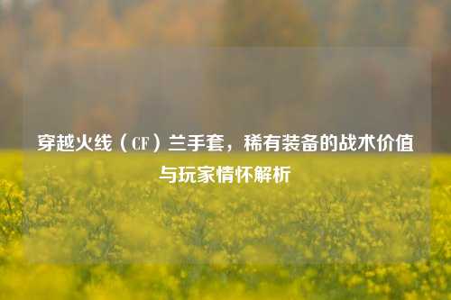 穿越火线（CF）兰手套，稀有装备的战术价值与玩家情怀解析